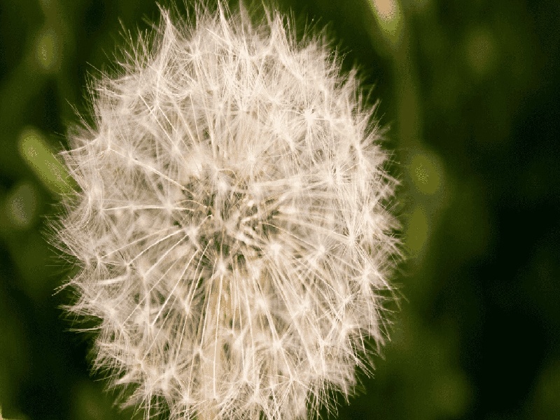 西安三代供卵例子,山东临沂做试管婴儿成功率最高的医院是哪里？如何选-西安